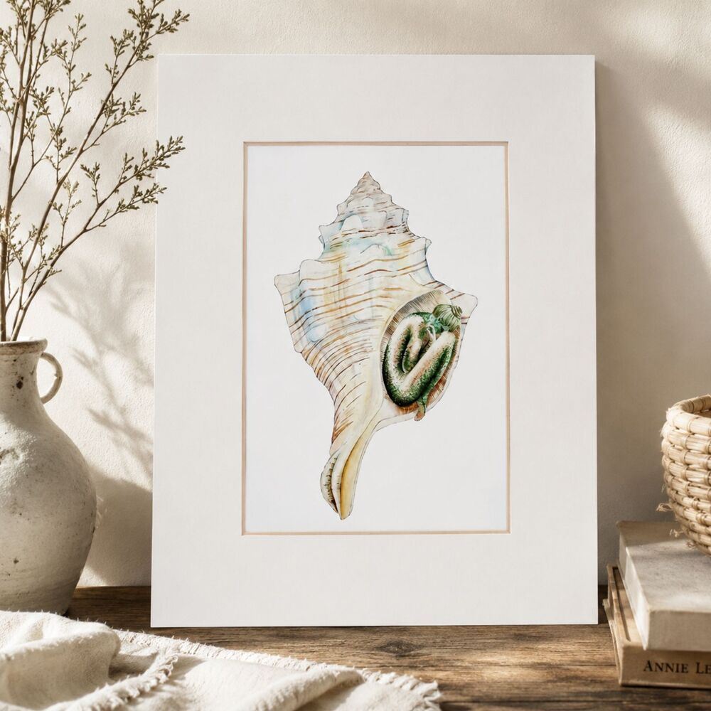 Coastal Seashell Matted Art Print Beach Cottage Surreal Figurative